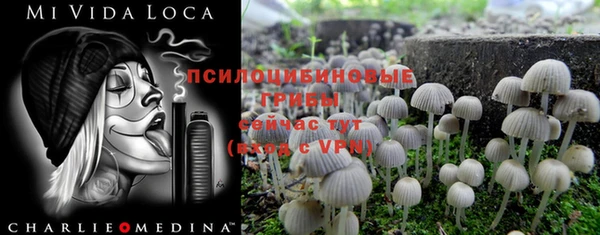 тгк Сосновка