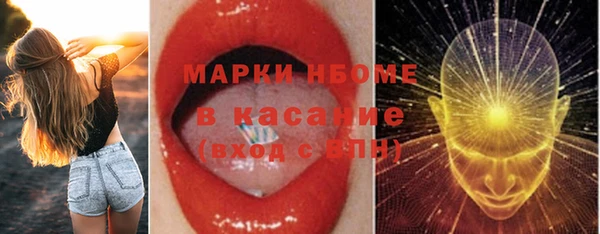 прущие грибы Мещовск