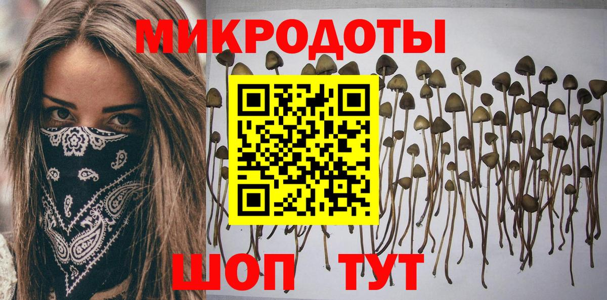 Галлюциногенные грибы Psilocybine cubensis  Псилоцибиновые грибы Magic Shrooms  Тейково 