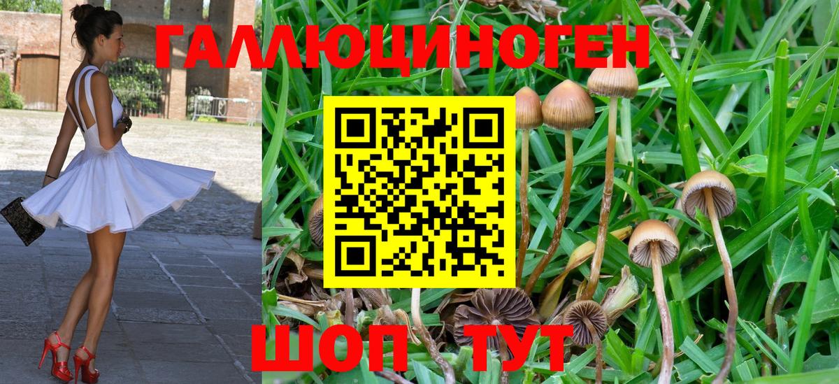 Галлюциногенные грибы GOLDEN TEACHER Тейково